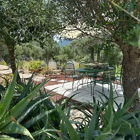 Casa Mariposa Porto Rotondo *