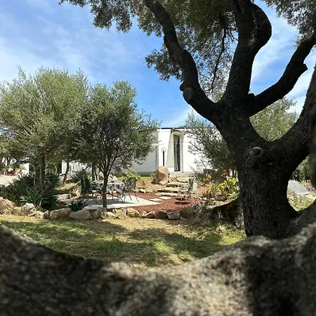 Casa Mariposa Porto Rotondo Ferienhaus Rudalza