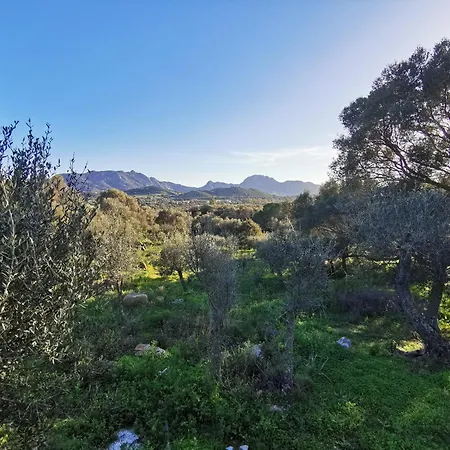 Feriehus Casa Mariposa Porto Rotondo *