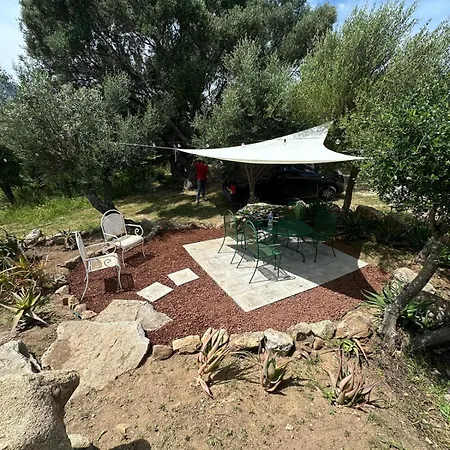Casa Mariposa Porto Rotondo Hébergement de vacances